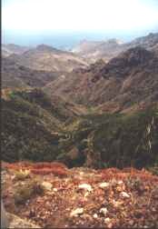 Anaga